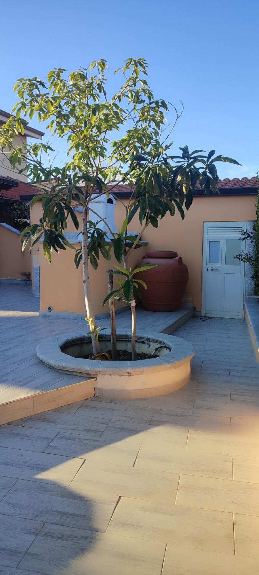 Villetta Aurora Villaggio Porto Ada A 2 Passi Dal Mare Pizzo  Exterior photo